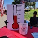 Status of Fundraiser